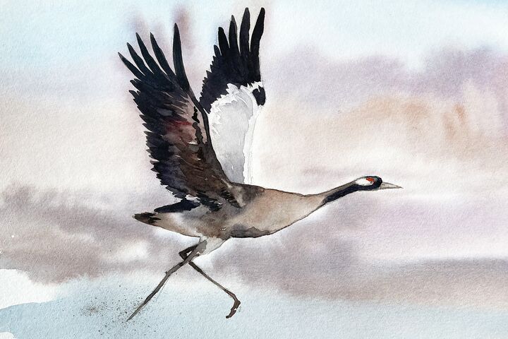 Kranich Aquarell malen lernen