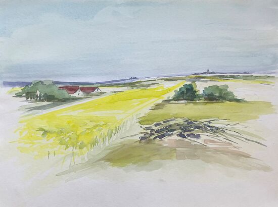 Raps malerei aquarell deich landschaft