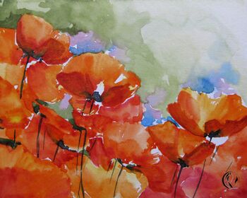 mohnfeld rot oranger mohn blume Aquarell