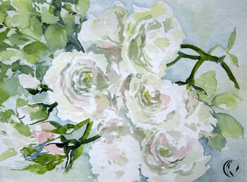 weiße Rosen Blumen Aquarellbild