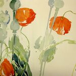 blumen im aquarell mohn