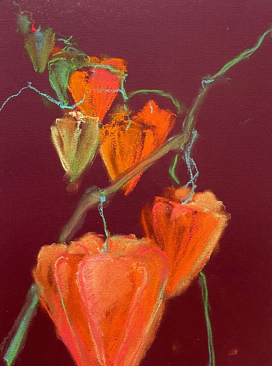 malen am meer physalis Physalis Pastell Blume malen orange