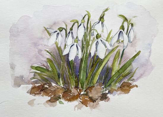 schneeglöckchen blumen aquarell malerei frühling