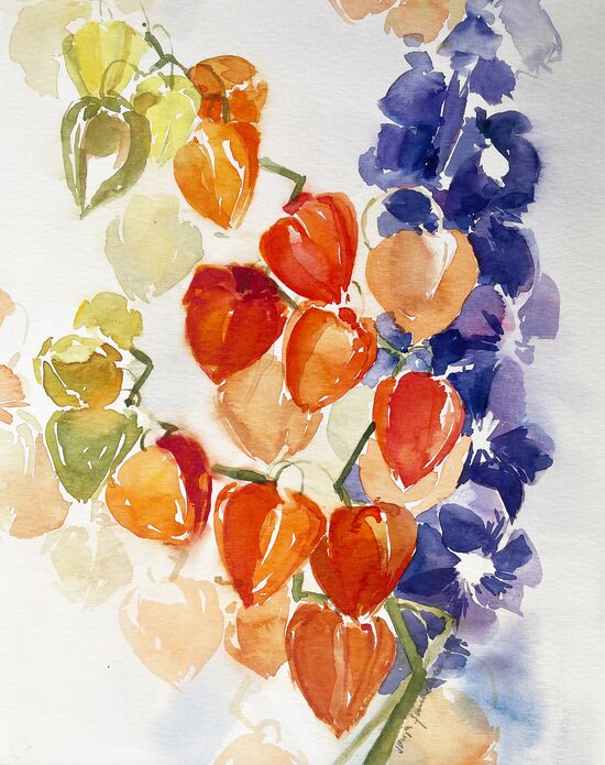 malen am meer rittersporn und physalis rittersporn und physalis Blumen im Aquarell
