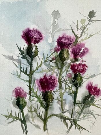 disteln aquarell blumen malerei gemälde