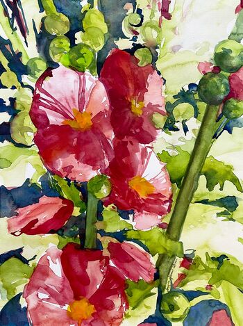 Stockrosen Malven rot Blume malen Aquarell
