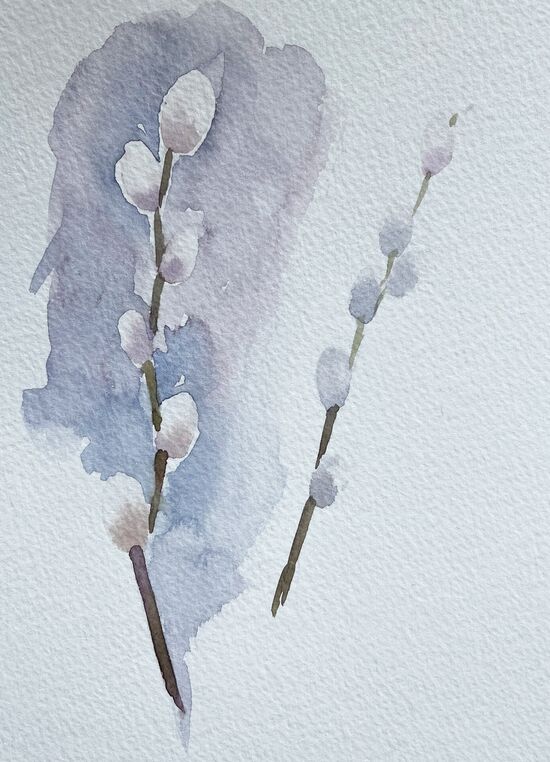 Weidekätzchen im Aquarell Blume
