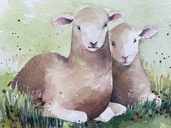Lämmer Schafe süß kuschelig Aquarell malen