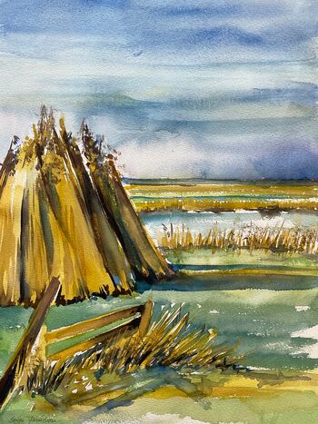 reet bündel trocknen aquarell malerei natur