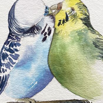 blauer und grüner wellensittich im Aquarell