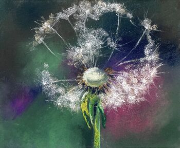 Pusteblume Löwenzahn Blume Pastell malen