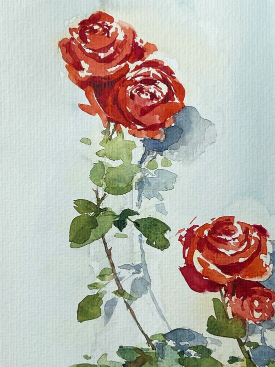 rote Rosen im Aquarell