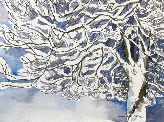 malen am meer schneebaum Baum mit Schnee Frost Illustration Aquarell malen