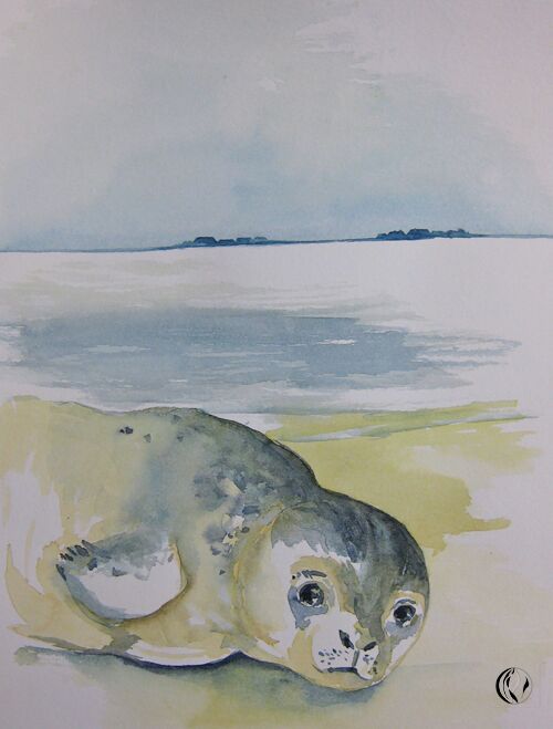 seehund heuler Tier im Aquarell