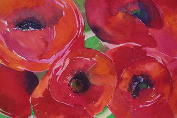 roter mohn blume im Aquarell malen