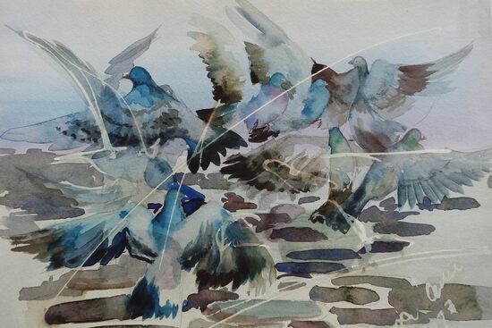 malen am meer tauben wilde Tauben Tiere im Aquarell