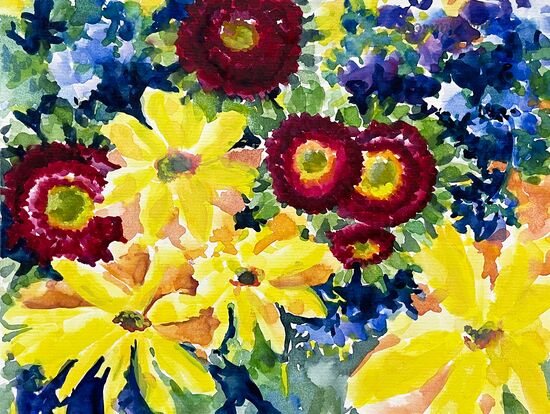 Bellis rot gelbe kuhaugen blumen malen aquarell