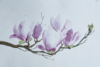 Magnolie Aquarell rosa Blume