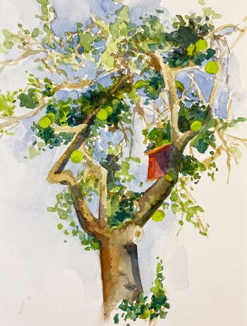 Apfelbaum Vogelhaus Baum Aquarell malen