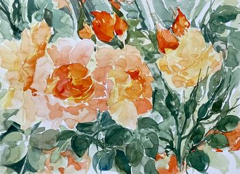 orange rosen aquarell malerei blumen