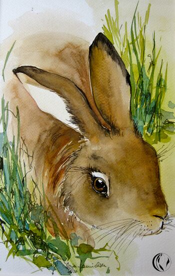 hase tier im Aquarell