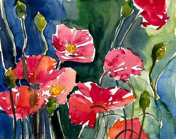 mohn dunkel aquarell strahlend malerei