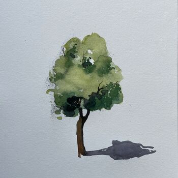 laubbaum mit schatten