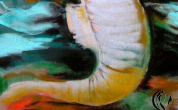 aquarell pastell malen tier