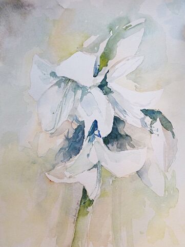 weiß amaryllis aquarell malerei gemälde blumen