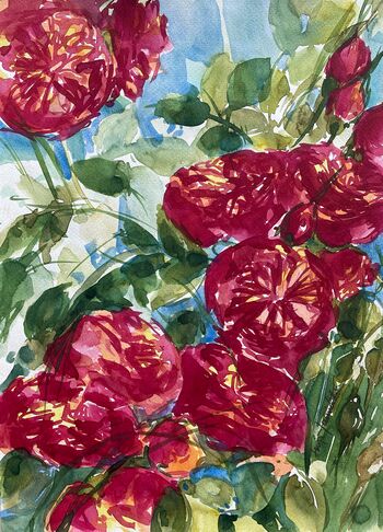 rote Rosen Aquarell malen