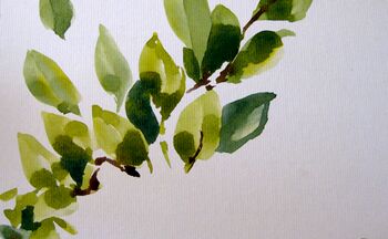 malanleitung aquarell