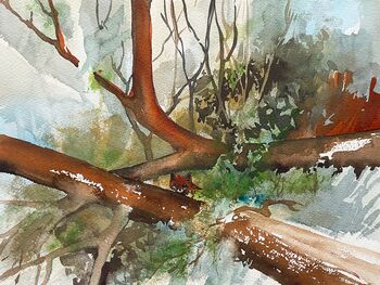 fucks versteck wald aquarell malerei