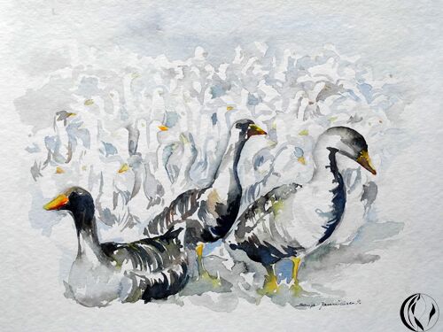 Gänse Graugänse Tier im Aquarell