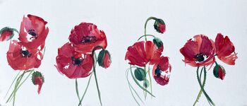 mohn Blume im Aquarell