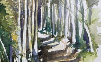 Birken im Wald Landschaft im Aquarell