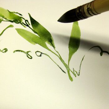 wicken im aquarell