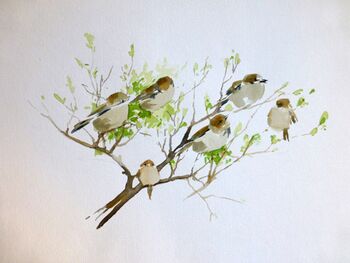 spatzen auf dem ast im Aquarell