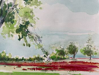 Mohnfeld mit Bäumen im Aquarell malen
