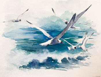 Möwen Flug Aquarell Lachmöwe