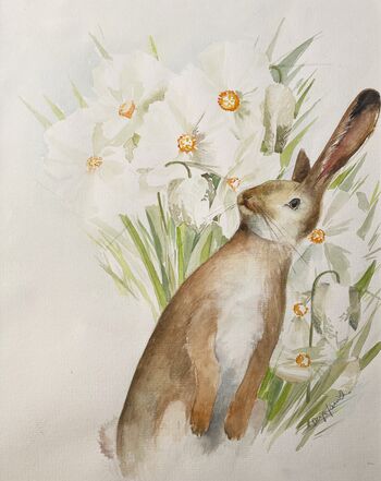 hase in weißen narzissen Tier im Aquarell