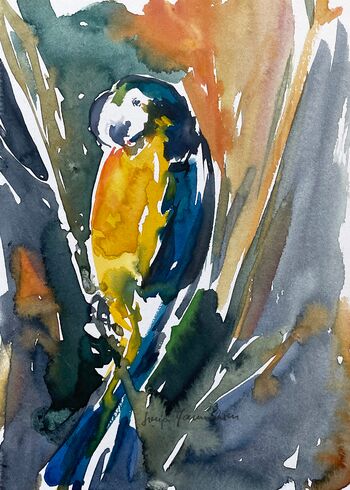 papagei aquarell malerei bunt gelb tiere