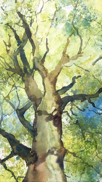 baum malerei aquarell natur
