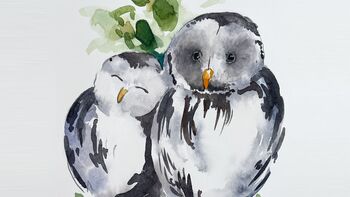 eulen aquarell malen lernen