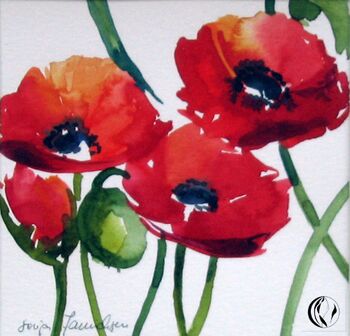 roter mohn im Aquarell