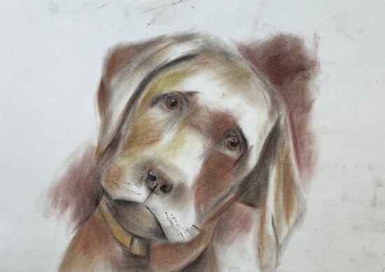Hund Tier süß Aquarell malen