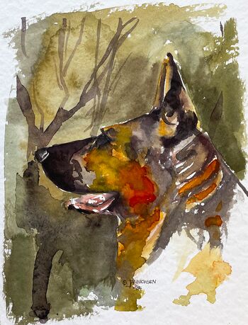 Hund Schäferhund deutsch Tier malen Aquarell
