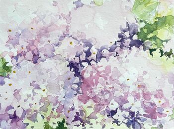 Blume Hortensie Aquarell malen