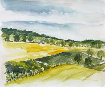 raps feld natur landschaft aquarell