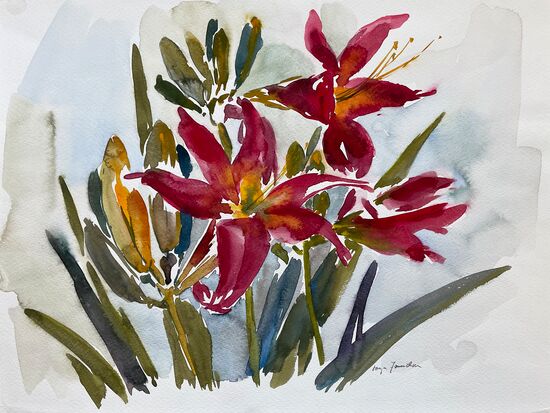 rosa blumen aquarell malerei natur
