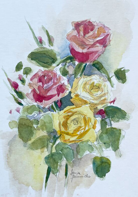 rose aquarell blumen malerei bunt duftend